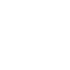 Elfen Watches